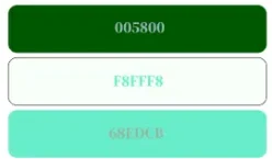 Rectangle 68-min